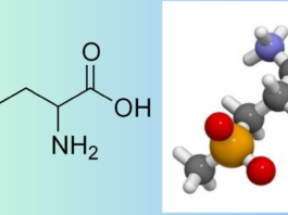 Homocystein