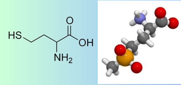 Homocystein