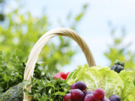 Variety of fresh organic vegetables in the garden